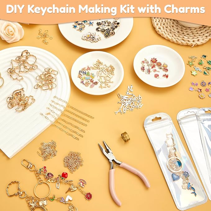 524Pcs DIY Keychain Making Kit with 218 Charms, Including 24 Keychain Clips Hooks 30 Extender Chain 200 Jump Ring Jewelry Plier Jewelry Making Supplies for Custom Key Ring Set Christmas Crafts Gifts