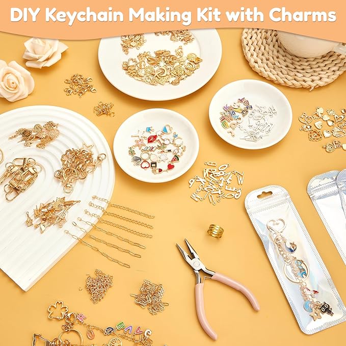 564Pcs DIY Keychain Making Kit with 258 Charms, Including 24 Keychain Clips Hooks 30 Extender Chain 200 Jump Ring Jewelry Plier Jewelry Making Supplies for Custom Key Ring Set Christmas Crafts Gifts