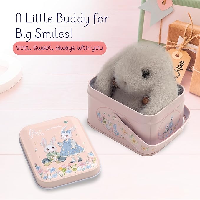 Mimi Buddies Bunny Keychain with Box, BunnyKeychain with Tin, Cute Bag Car Handbag Charm Keychains, BunnyCute Key chain
