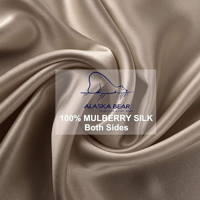 ALASKA BEAR Silk Pillowcase for Hair and Skin, 100% Mulberry Silk Pillow Cases Queen Size for Bliss Sleep with Random Color Scrunchy Gift Set Better Than Poly Satin, 1pc,Taupe