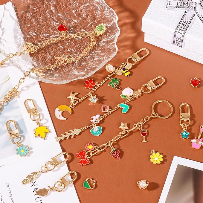 Draupnir 303pcs Keychain Making Kit,Include 137 Bags Charms for Handbags 25 Keychain Charms Clips with Key Ring 20 Extender Bag Chain 120 Jump Ring Jewelry Plier Bag Charm Kit DIY Craft