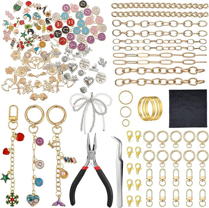 Meyeyaia 325pcs DIY Keychain Kit,Including 20 Keychain Clips 25 Extender Chain 118 Charms Jewelry Plier, Bag Charm Kit,Keychains Making Kits for DIY Crafting and Jewelry Making