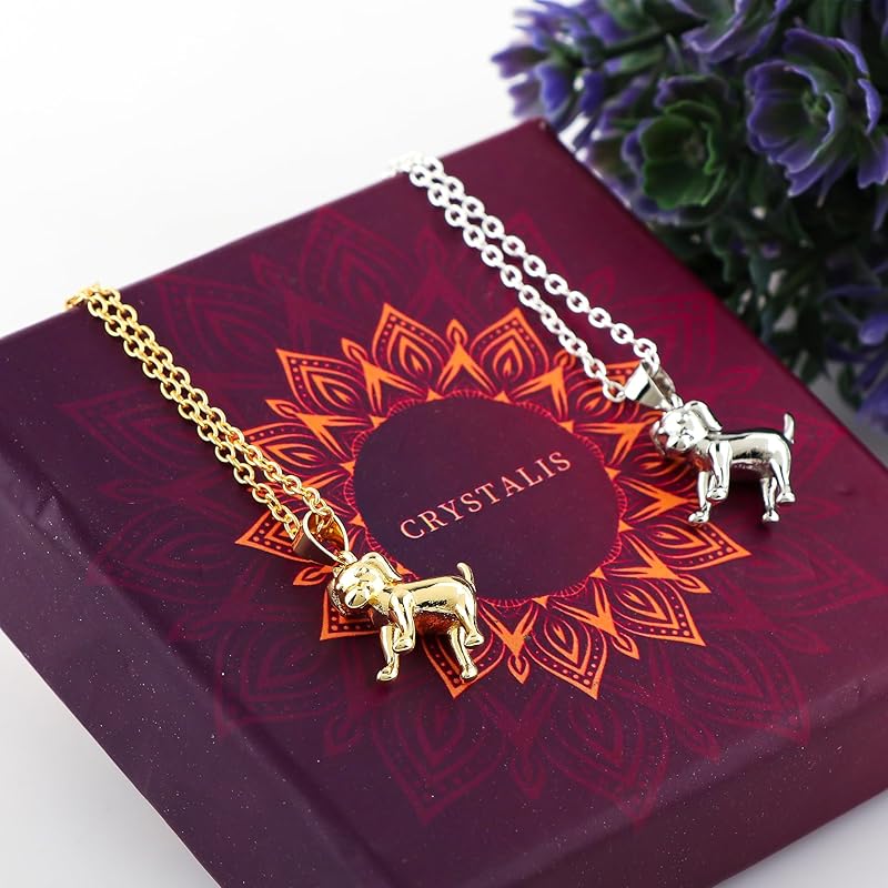 JOR Dog Charm Pendant Necklace, Loyalty Charm, Men and Women Unisex Jewelry, Dainty Gold & Silver Plated Combo Chain 18 inch (Pack of 2)