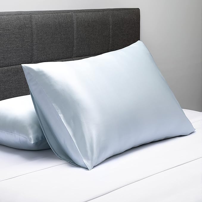 Fishers Finery 30mm 100% Pure Mulberry Silk Pillowcase Set, Quality Tested (Blue, Standard, 2 Pack)