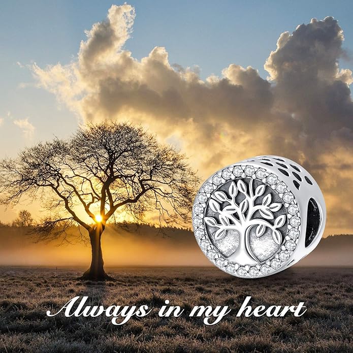 LONAGO 925 Sterling Silver Personalized Photo Charm Fit Compatible for Bracelet Necklace Customized Heart Round Shape Picture Bead