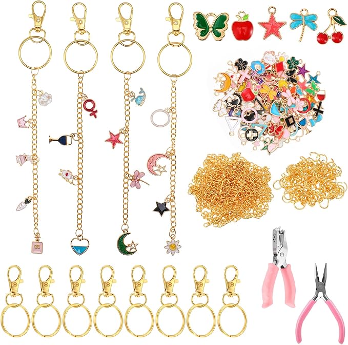 Dimeho 213 Pcs Jewelry Making Kit Keychain Making Including 100 Enamel Charms 10 Keychain Clips 10 Key Rings 100 Jump Rings 1 0 Gold Extender Chain and Plier Hole Punch for DIY Craft Bag Women
