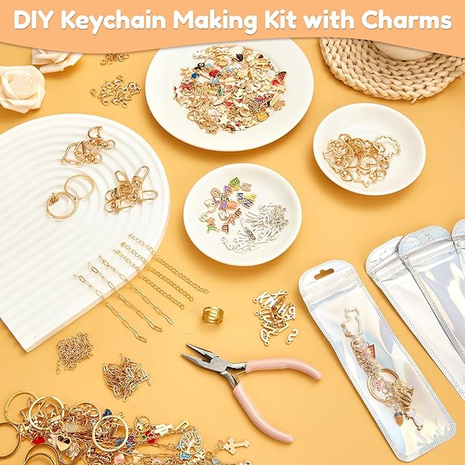 534Pcs DIY Keychain Making Kit with 228 Charms, Including 24 Keychain Clips Hooks 30 Extender Chain 200 Jump Ring Jewelry Plier Jewelry Making Supplies for Custom Key Ring Set Christmas Crafts Gifts