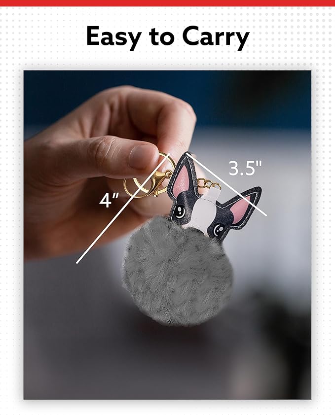 ALPI Super Plush Keychain - Cute Keychain for Bags, Keys, & More - Adorable Purse Charm - Pack of 5