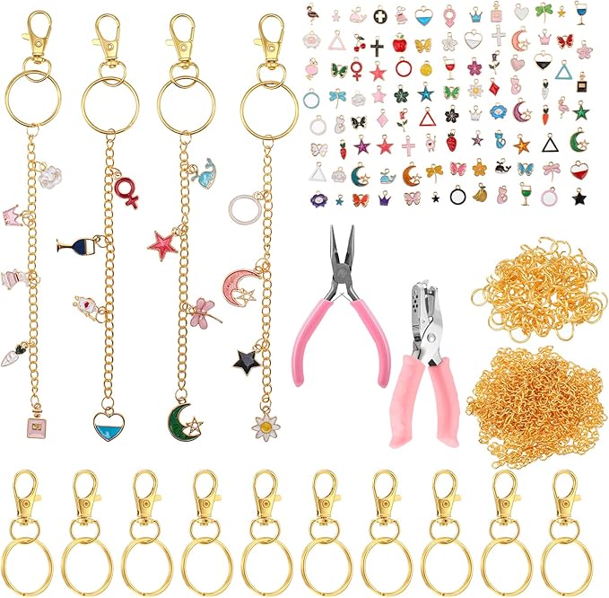 Dimeho 213 Pcs Jewelry Making Kit Keychain Making Including 100 Enamel Charms 10 Keychain Clips 10 Key Rings 100 Jump Rings 1 0 Gold Extender Chain and Plier Hole Punch for DIY Craft Bag Women