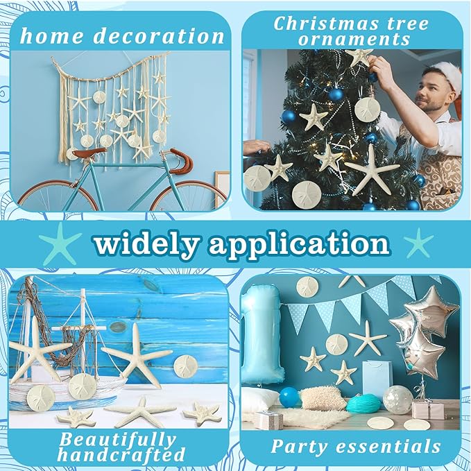 Queekay 30 Pcs Resin Starfish Sand Dollars for Crafts 2-4.7 Inch Fake Seashells Bulk Large White Sand Dollar Ornament for Beach Mermaid Birthday Wedding Christmas Party Decor DIY Craft Supplies
