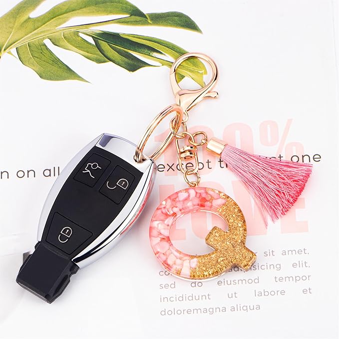 Suweibuke Cute Pink Key Chains for Women Girls, Initial Letter Keychains with Tassel, Charms for Key Purse Handbags Backpacks