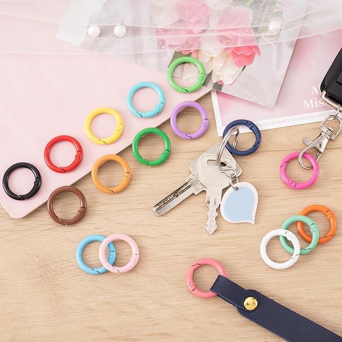 51Pcs 25mm Round Spring O Rings, Colorful Metal Carabiner Snap Buckle Clip Trigger DIY Accessories for Purse Keyrings Keychain Handbag Lanyard