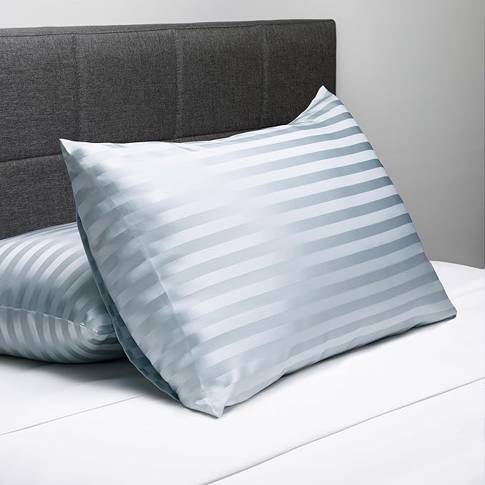 Fishers Finery 30mm 100% Pure Mulberry Silk Pillowcase Set, Quality Tested (Blue Stripe, Queen, 2 Pack)