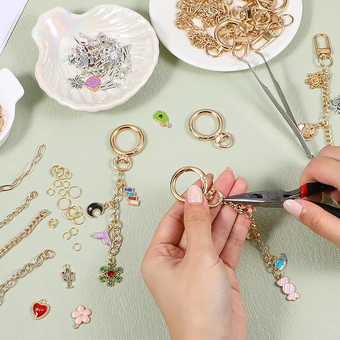 Meyeyaia 325pcs DIY Keychain Kit,Including 20 Keychain Clips 25 Extender Chain 118 Charms Jewelry Plier, Bag Charm Kit,Keychains Making Kits for DIY Crafting and Jewelry Making