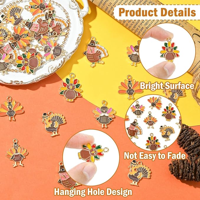 Stiesy 30 Pcs 6 Styles Enamel Assorted Turkey Charms Golden Color Thanksgiving Day Alloy Metal Charms Pendants Bulk for Bracelets Necklace Earring Jewelry Making DIY Craft