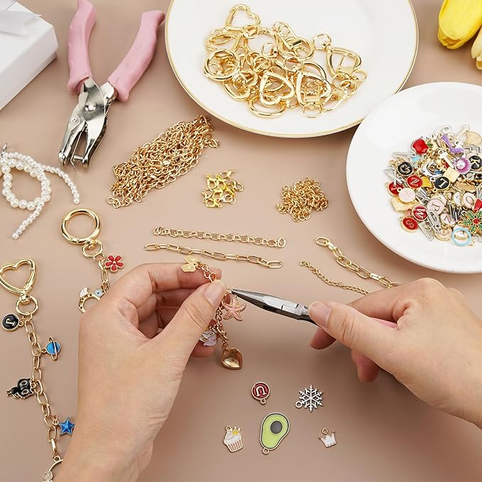 BQMEZRNUS 333Pcs Keychain Making Kit with Charms, DIY Lip Gloss & Bag Charm Supplies Includes Keychain Clips, Jump Rings, Lobster Clasps, Extender Chains & Pliers for Custom Jewelry Gifts and Crafts