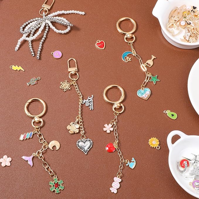 Meyeyaia 325pcs DIY Keychain Kit,Including 20 Keychain Clips 25 Extender Chain 118 Charms Jewelry Plier, Bag Charm Kit,Keychains Making Kits for DIY Crafting and Jewelry Making