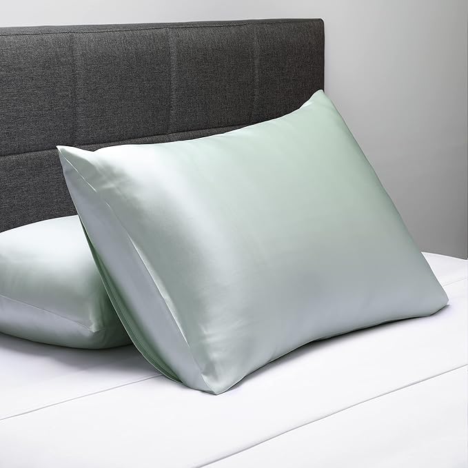 Fishers Finery 19mm 100% Pure Mulberry Silk Pillowcase, Quality Tested (Light Green, Q)